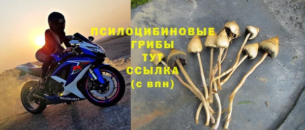 спиды Абаза